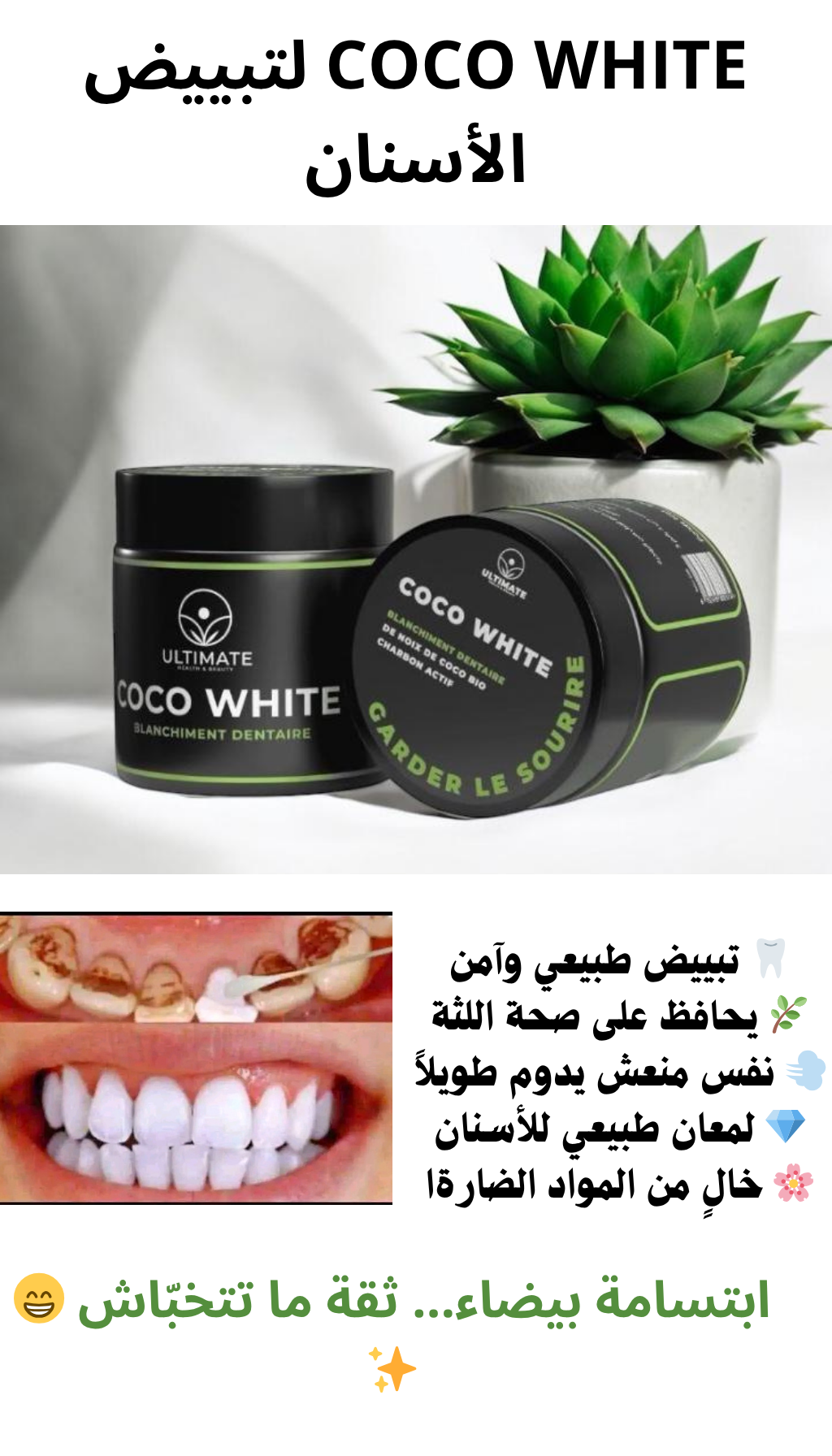 COCO WHITE BLANCHINENT DENTAIRA تبيض اسنان